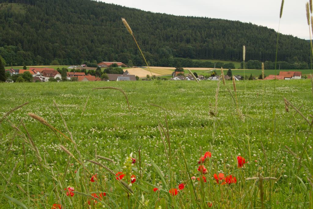 Fewo Alte Schule ヴィリンゲン エクステリア 写真